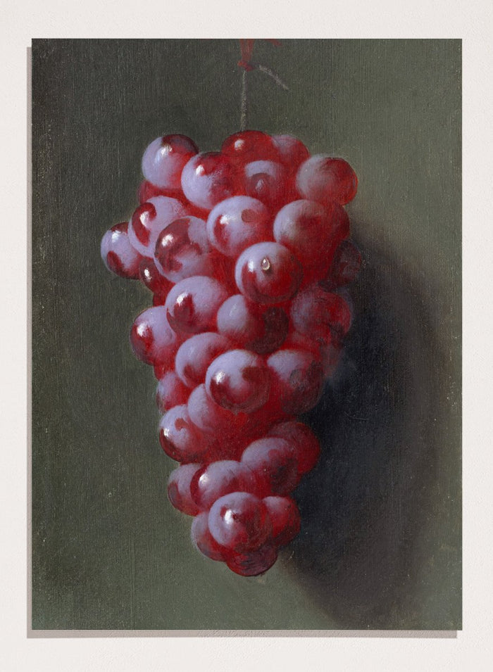 "Still Life with Grapes" Art Print_Sugar & Canvas_Carducius Plantagenet Ream