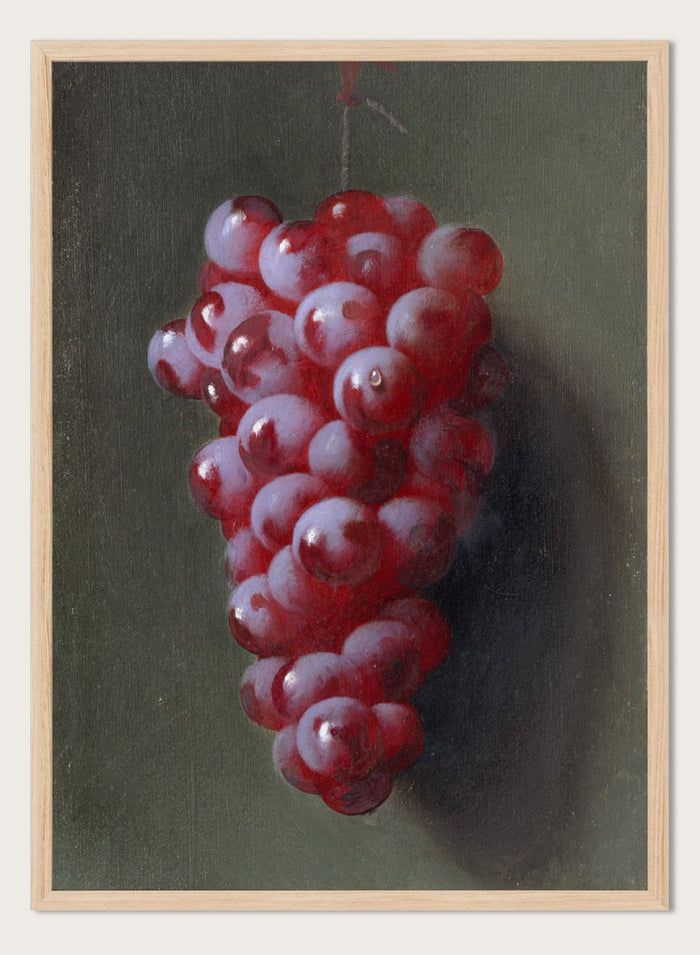 "Still Life with Grapes" Art Print_Sugar & Canvas_Carducius Plantagenet Ream