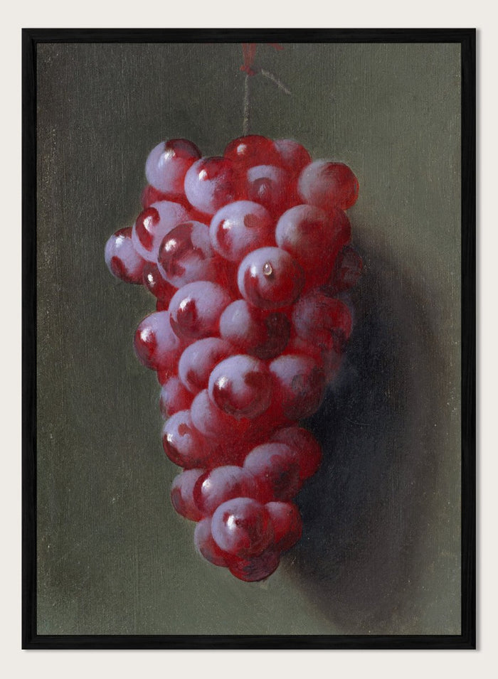 "Still Life with Grapes" Art Print_Sugar & Canvas_Carducius Plantagenet Ream