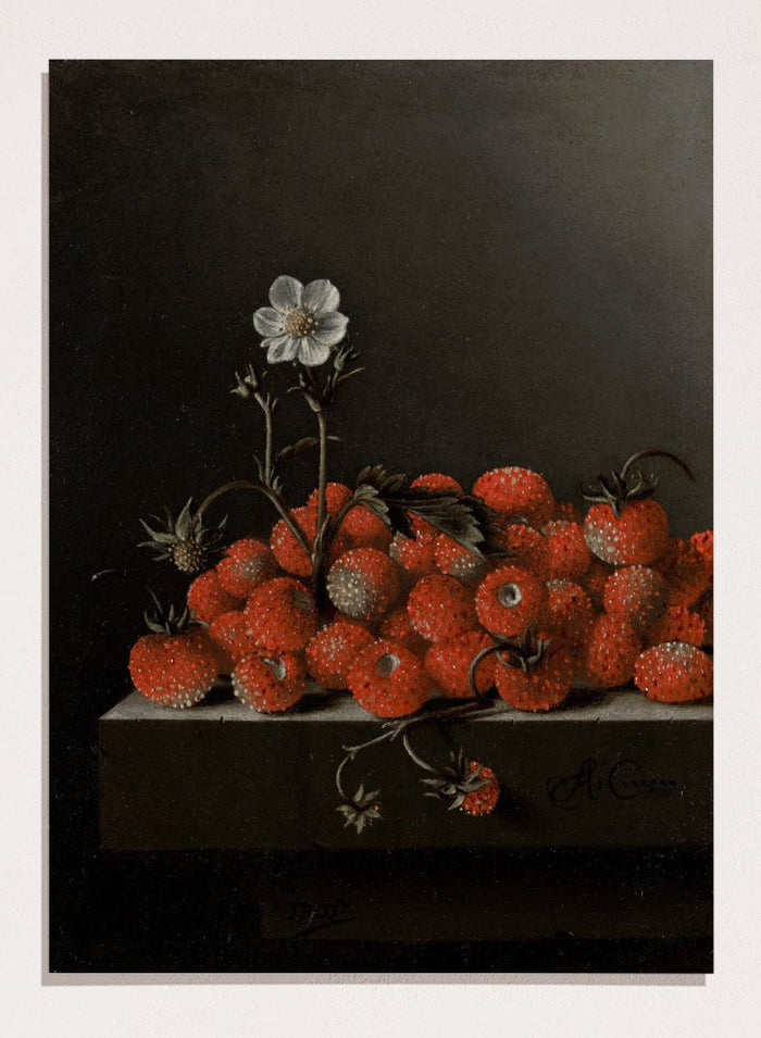 "Still Life with Wild Strawberries" Art Print_Sugar & Canvas_Adriaen Coorte