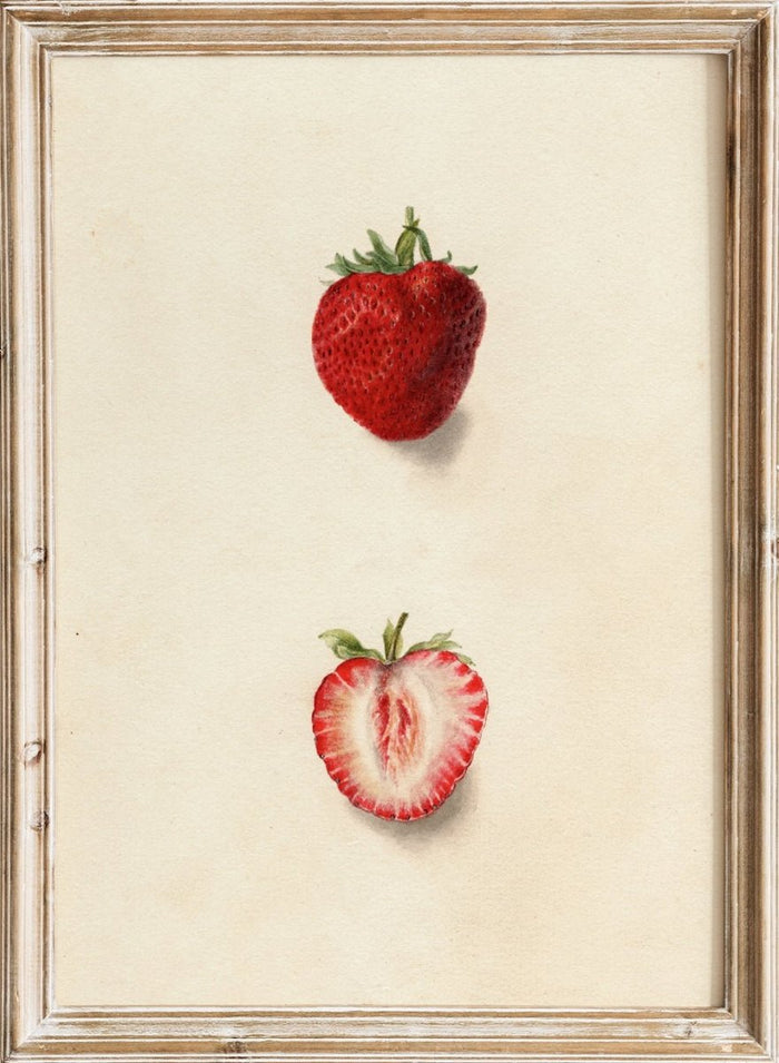 "Strawberries" Art Print_Sugar & Canvas_Deborah Griscom Passmore