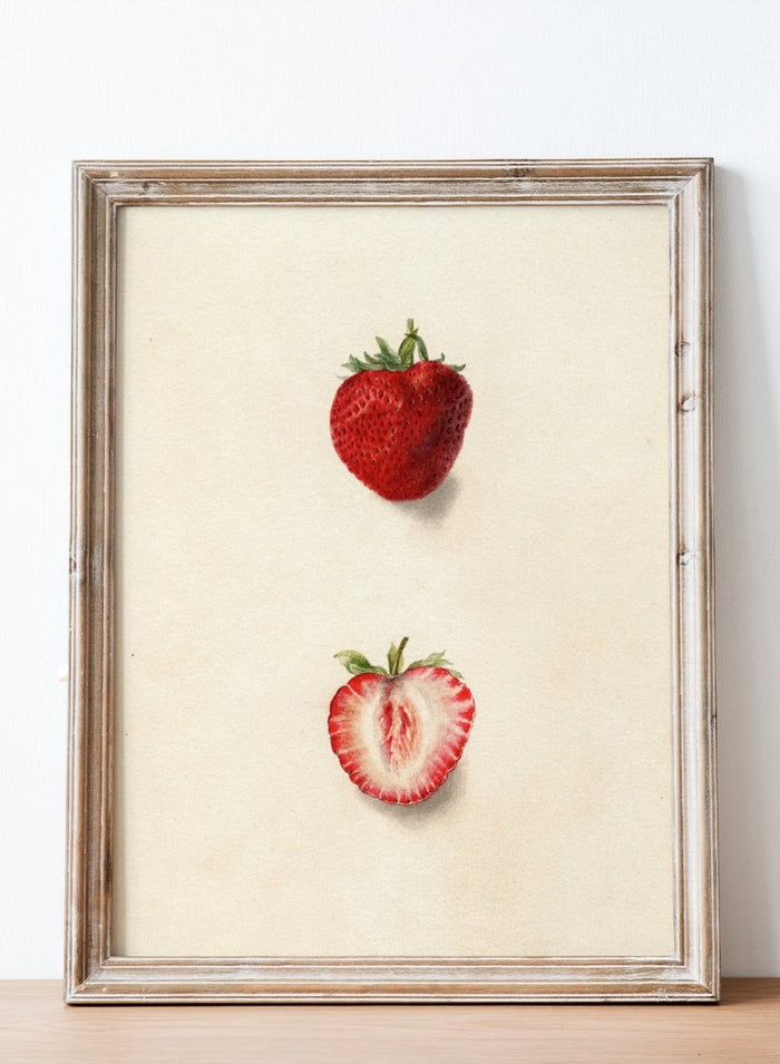 "Strawberries" Art Print_Sugar & Canvas_Deborah Griscom Passmore