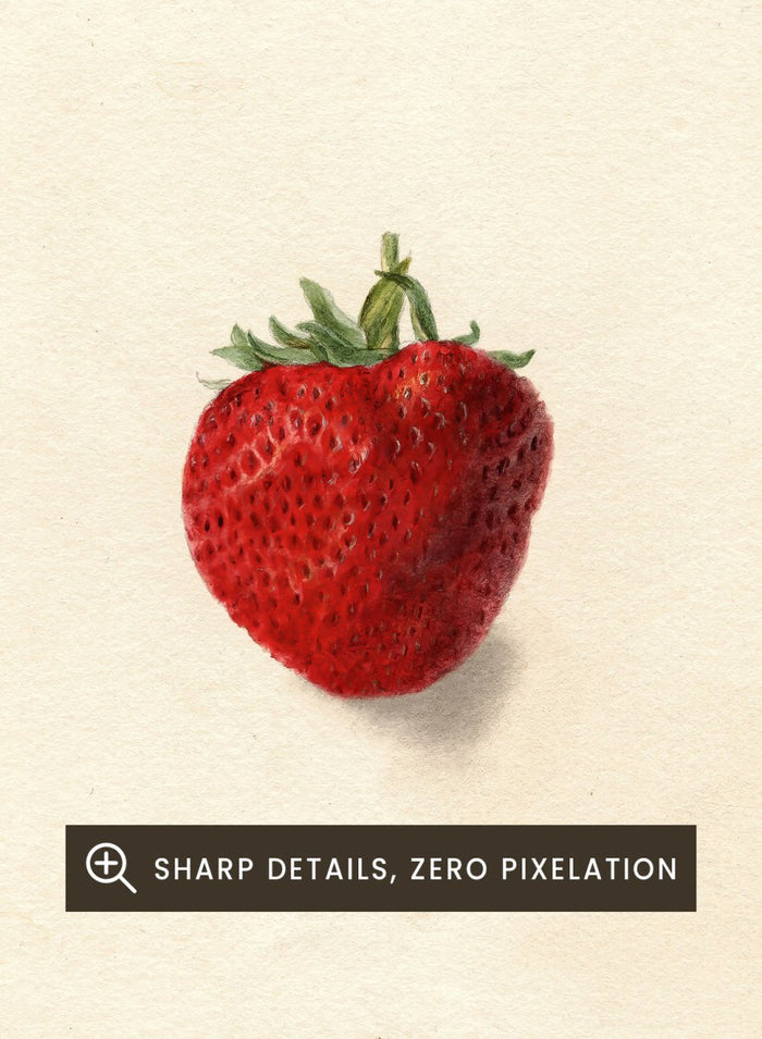 "Strawberries" Art Print_Sugar & Canvas_Deborah Griscom Passmore