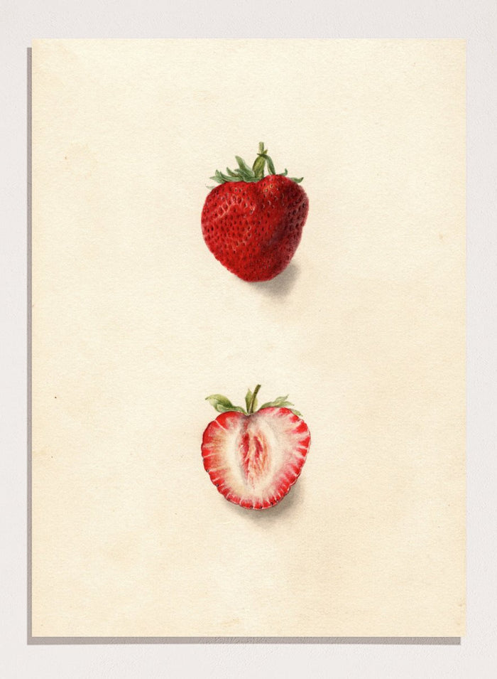 "Strawberries" Art Print_Sugar & Canvas_Deborah Griscom Passmore