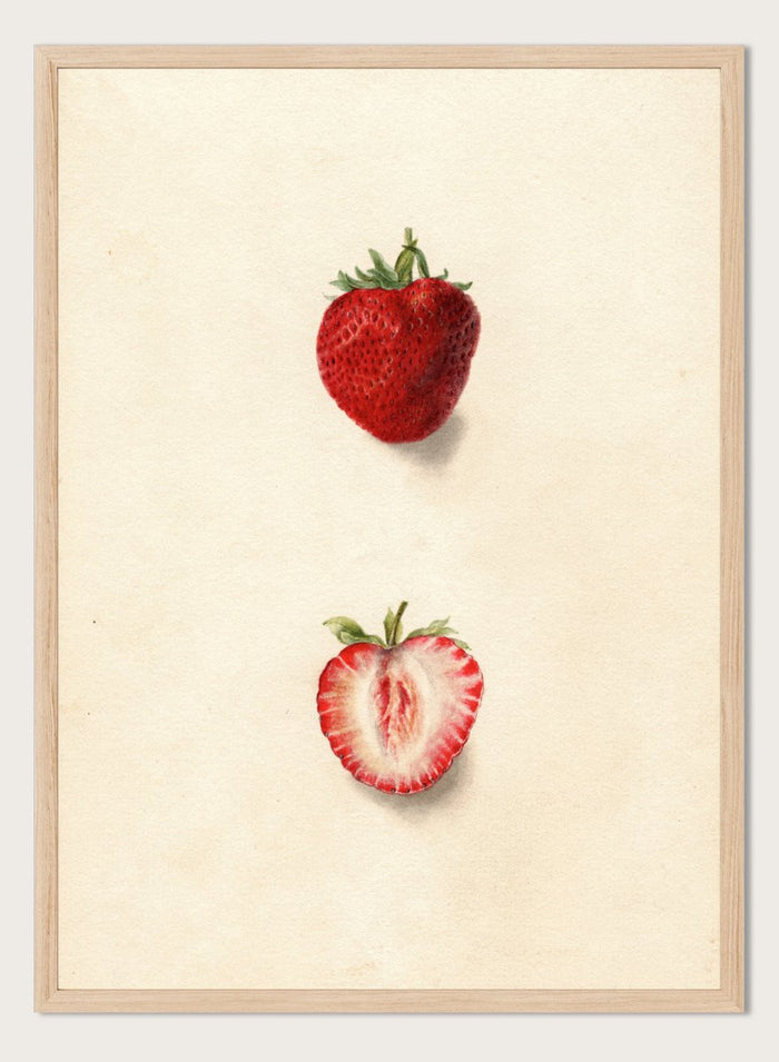 "Strawberries" Art Print_Sugar & Canvas_Deborah Griscom Passmore