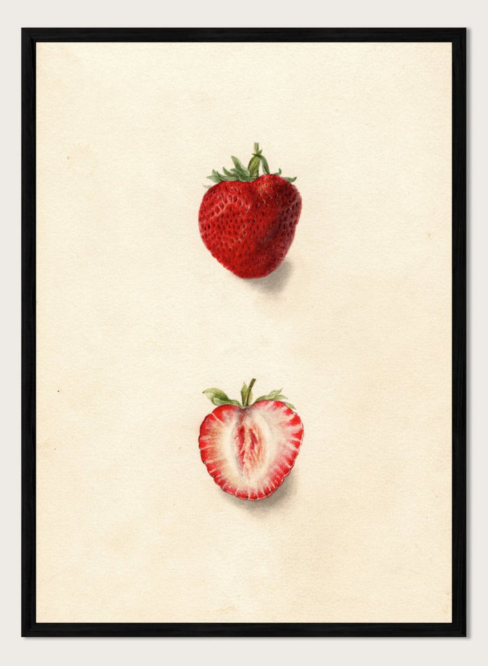 "Strawberries" Art Print_Sugar & Canvas_Deborah Griscom Passmore