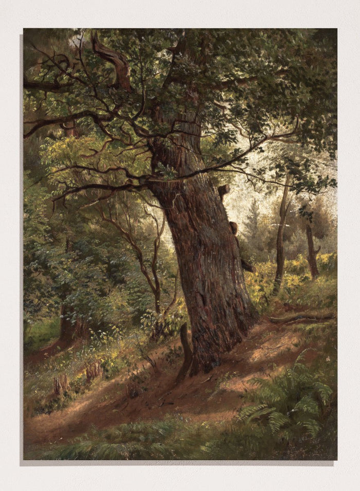 "Study of a Tree" Art Print_Sugar & Canvas_Wilhelm Peter Bayer
