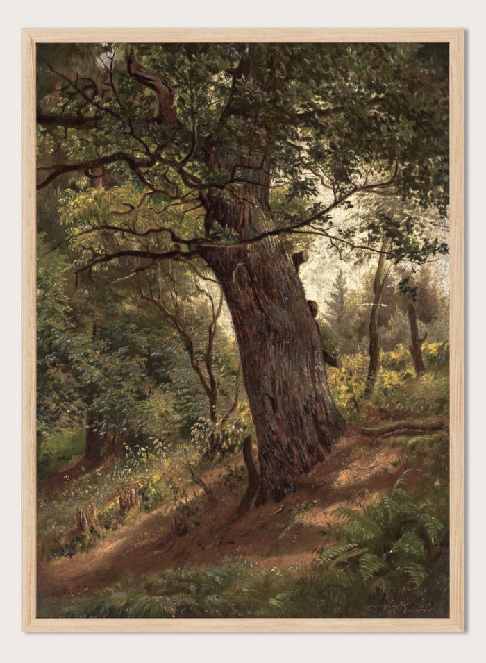 "Study of a Tree" Art Print_Sugar & Canvas_Wilhelm Peter Bayer