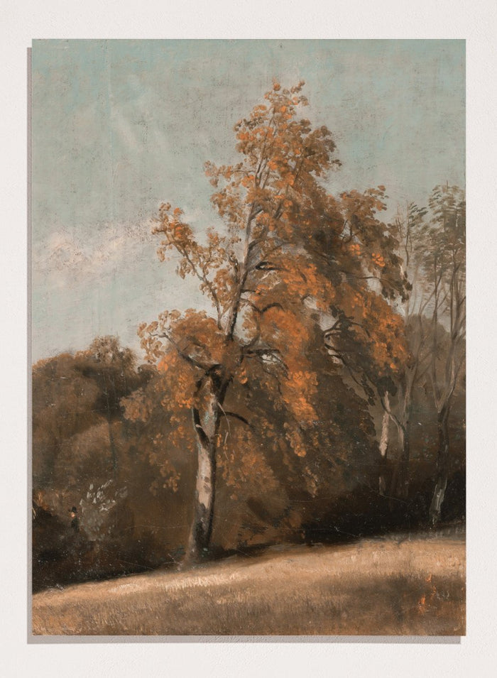 "Study of an Ash Tree" Art Print_Sugar & Canvas_John Constable