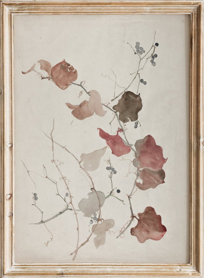 "Study of Clematis Vine with Blueberries" Art Print_Sugar & Canvas_Sophia L. Crownfield