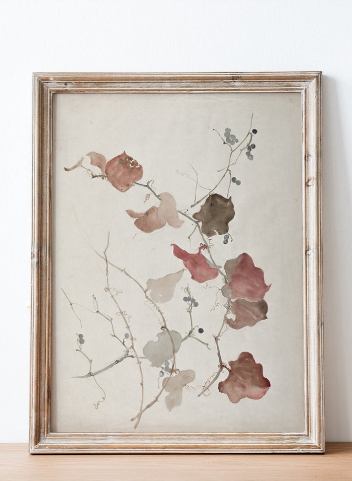 "Study of Clematis Vine with Blueberries" Art Print_Sugar & Canvas_Sophia L. Crownfield