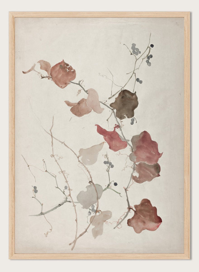 "Study of Clematis Vine with Blueberries" Art Print_Sugar & Canvas_Sophia L. Crownfield