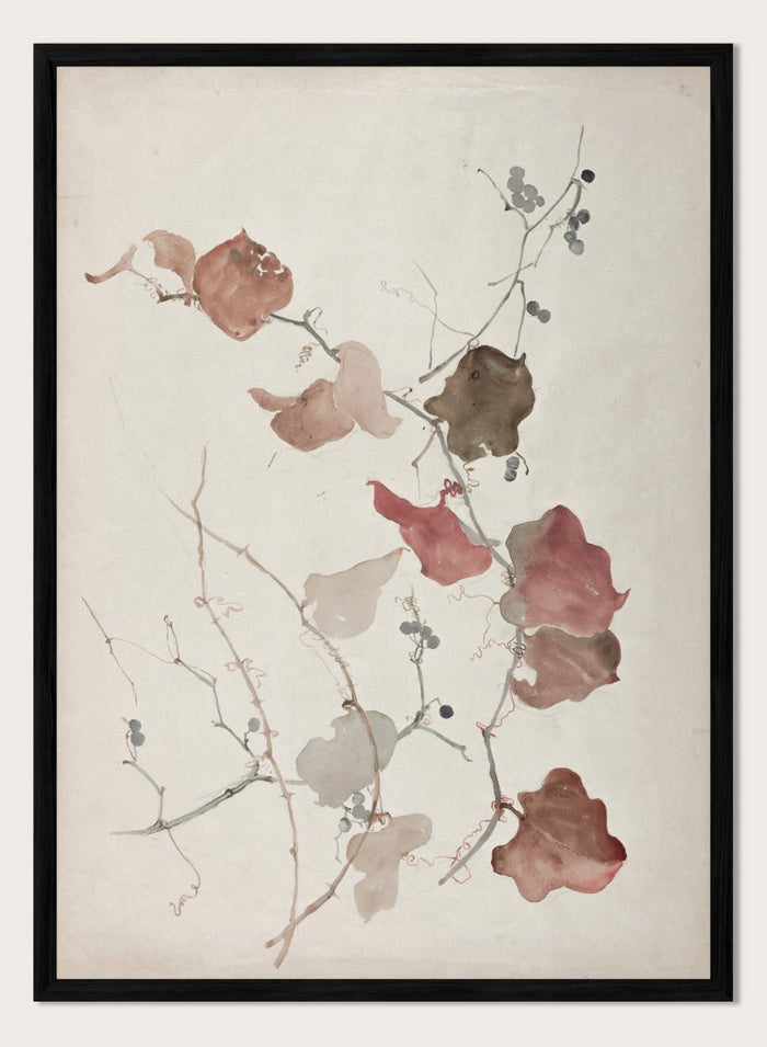 "Study of Clematis Vine with Blueberries" Art Print_Sugar & Canvas_Sophia L. Crownfield