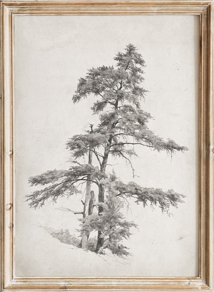 "Trees, West Virginia" Sketch Art Print_Sugar & Canvas_Andrew Fisher Bunner