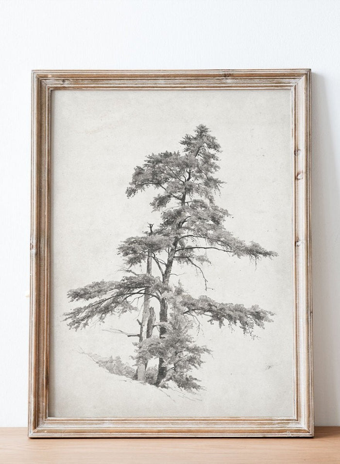 "Trees, West Virginia" Sketch Art Print_Sugar & Canvas_Andrew Fisher Bunner