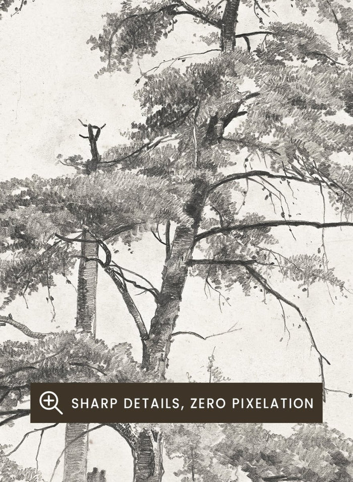 "Trees, West Virginia" Sketch Art Print_Sugar & Canvas_Andrew Fisher Bunner
