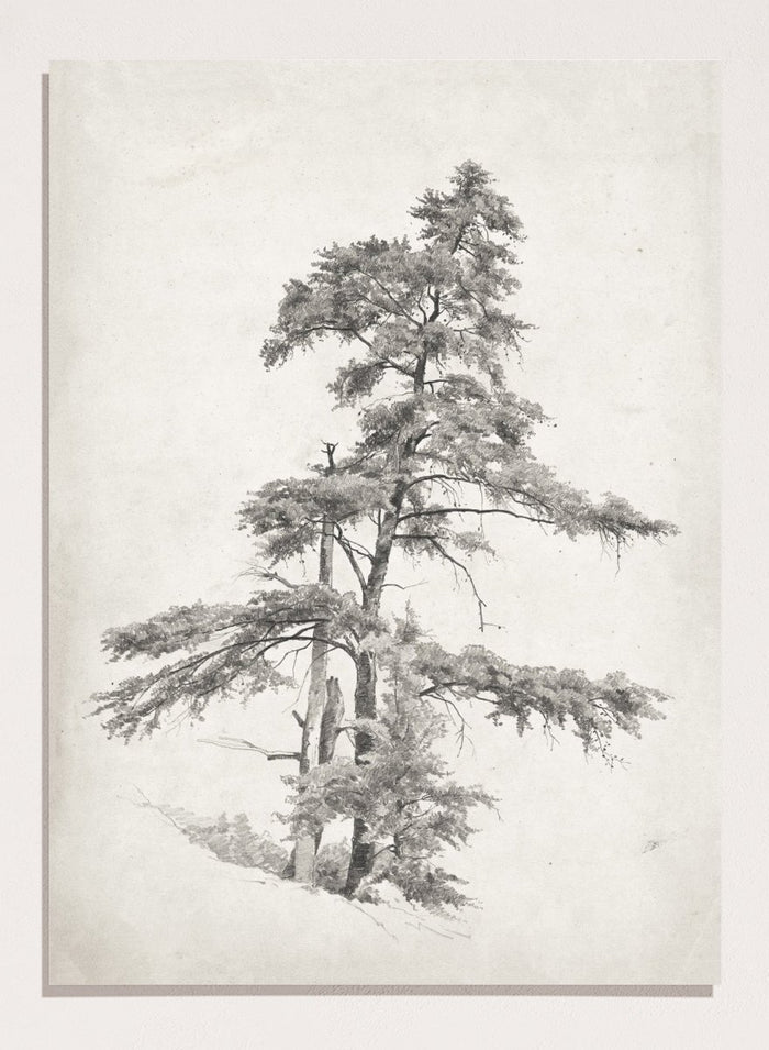 "Trees, West Virginia" Sketch Art Print_Sugar & Canvas_Andrew Fisher Bunner