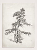 "Trees, West Virginia" Sketch Art Print_Sugar & Canvas_Andrew Fisher Bunner