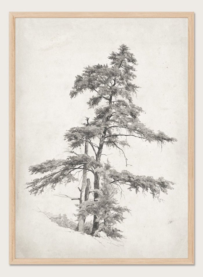 "Trees, West Virginia" Sketch Art Print_Sugar & Canvas_Andrew Fisher Bunner