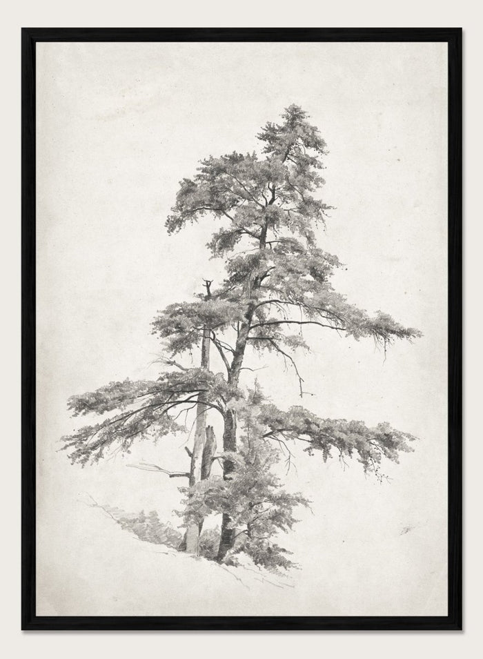 "Trees, West Virginia" Sketch Art Print_Sugar & Canvas_Andrew Fisher Bunner