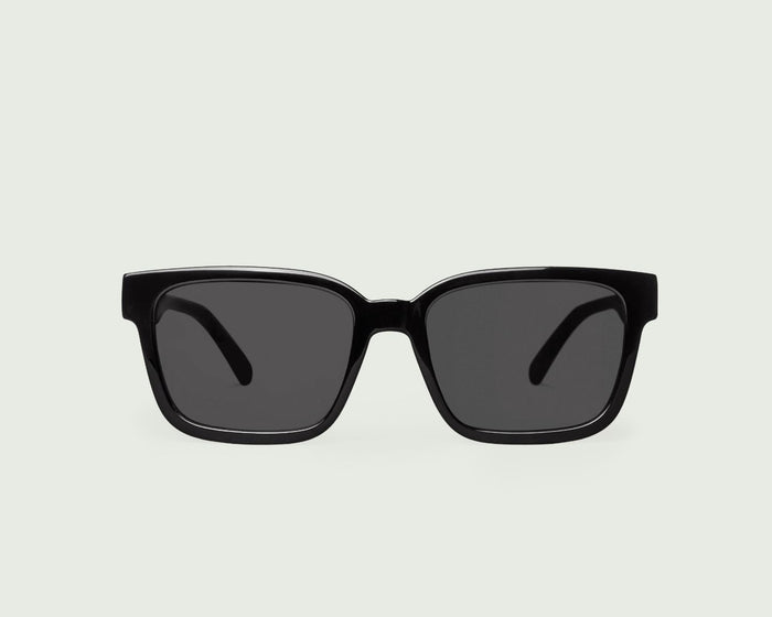 Ink Polarized / Black / Black