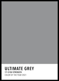 Ultimate Grey Color Card Art Print_Sugar & Canvas_Sugar & Canvas