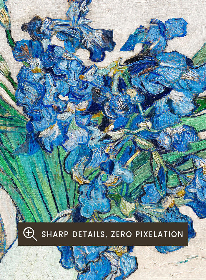 Van Gogh Irises 1889 Art Print