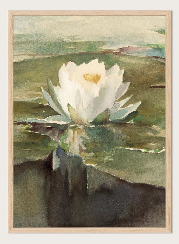 Vintage "Water Lily in Sunlight" Art Print_Sugar & Canvas_John La Farge