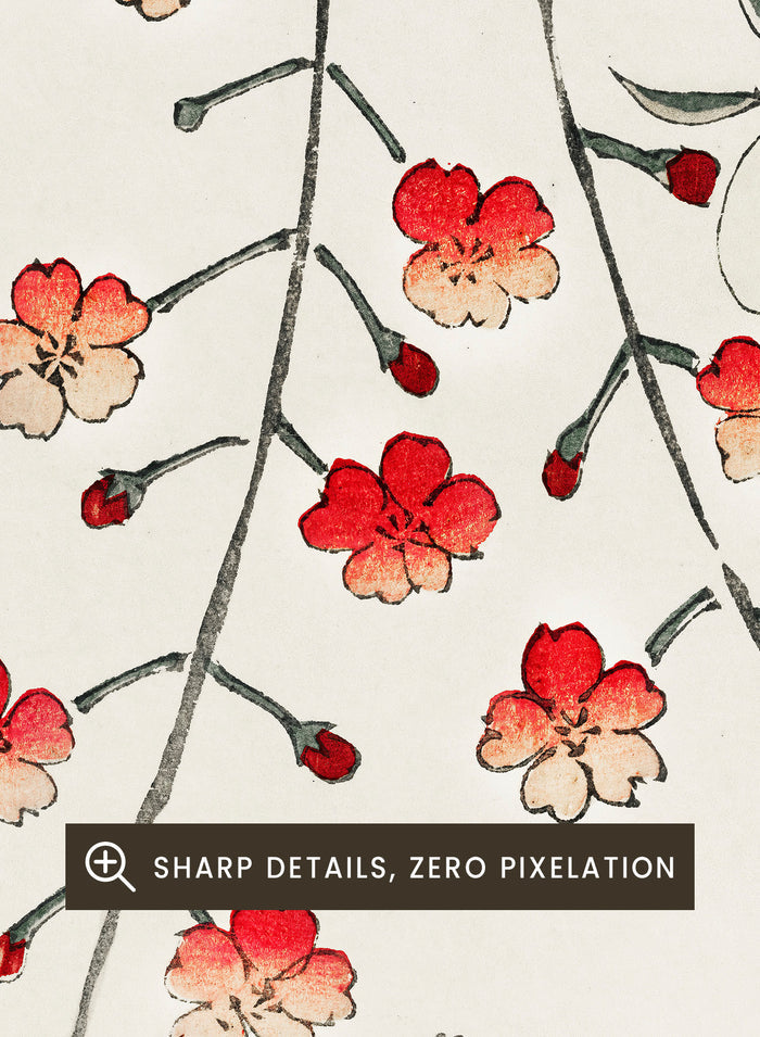 Watanabe Seitei Cherry Blossom Art Print