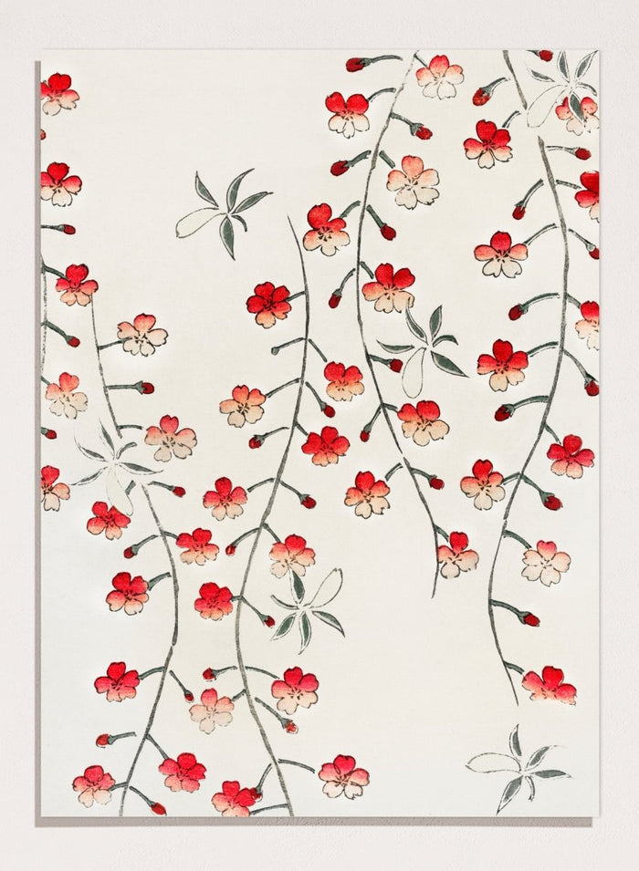 Watanabe Seitei Cherry Blossom Art Print_Sugar & Canvas_Watanabe Seitei