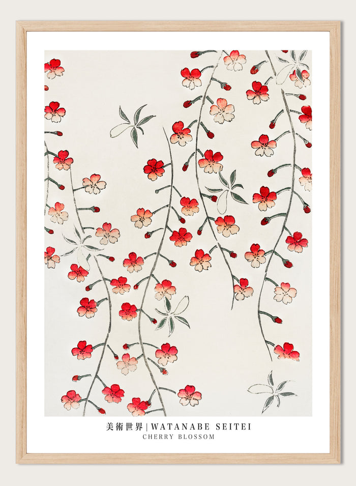 Watanabe Seitei Cherry Blossom Art Print