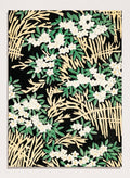 Watanabe Seitei Forest Illustration Art Print_Sugar & Canvas_Watanabe Seitei