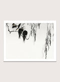 Watanabe Seitei "Perched Magpies" Art Print_Sugar & Canvas_Watanabe Seitei