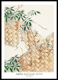 Watanabe Seitei Wisteria Art Print_Sugar & Canvas