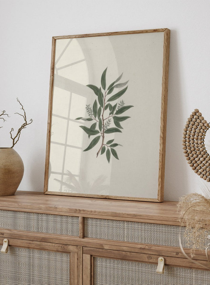"Willow Tree" Art Print_Sugar & Canvas_Luigi Balugani